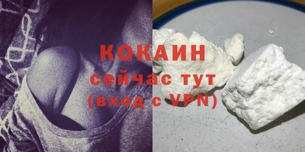 крисы Баксан