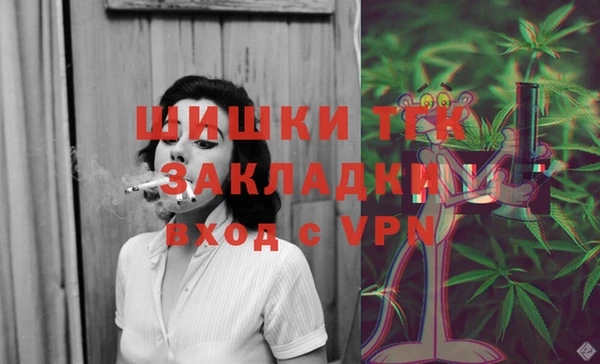 СК Белокуриха