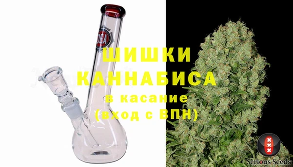 PSILOCYBIN Белоозёрский