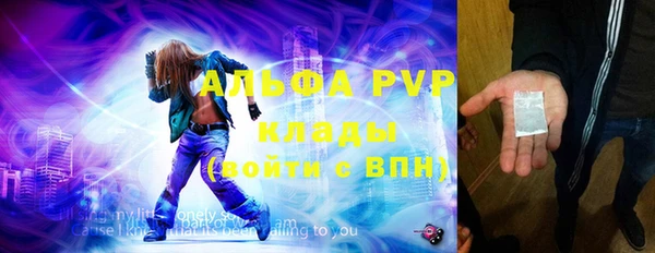 СК Белокуриха